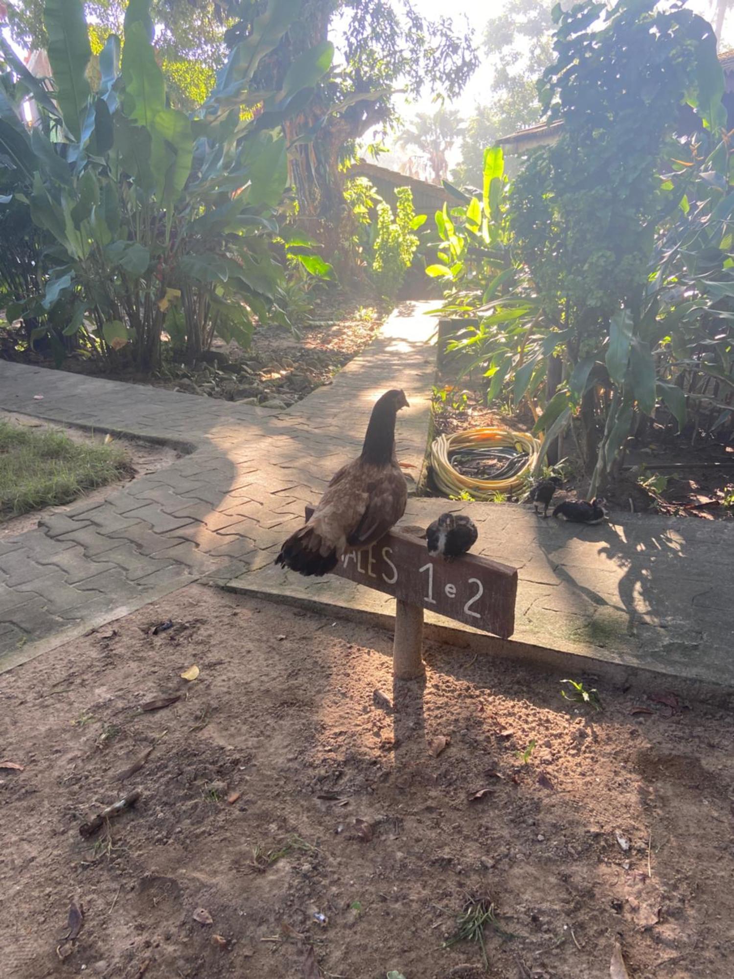 Pousada Coco Dende Velha Boipeba Esterno foto