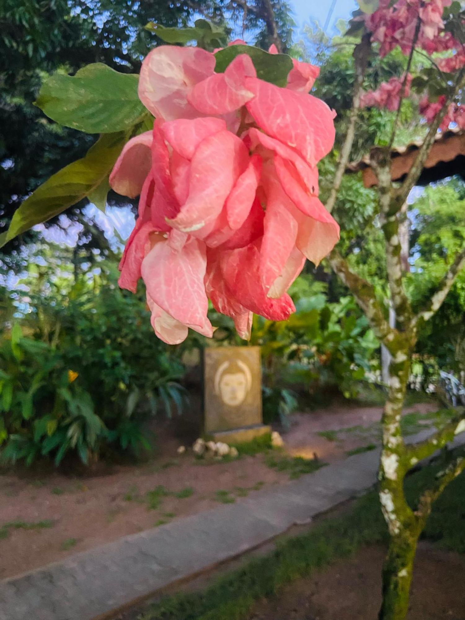 Pousada Coco Dende Velha Boipeba Esterno foto
