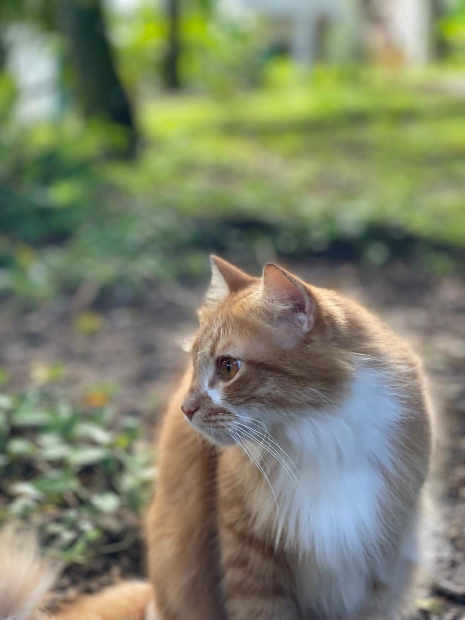 Pousada Coco Dende Velha Boipeba Esterno foto